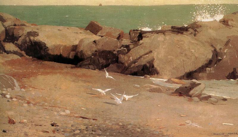 Winslow Homer Rocky shore and the seagulls oil painting picture